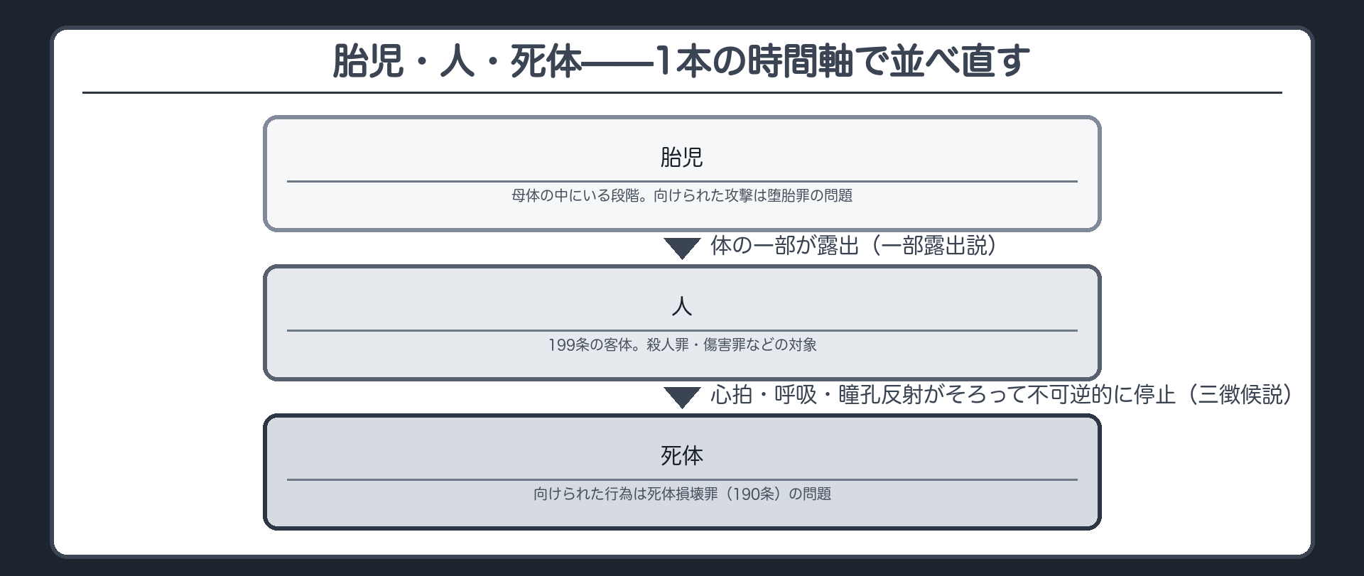 胎児・人・死体——1本の時間軸で並べ直す