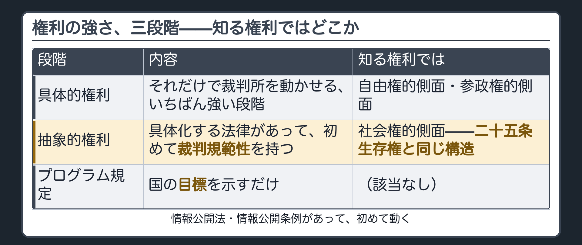 権利の強さ3段階の再掲(具体的権利=裁判規範性あり／抽象的権利=具体化する法律があって初めて動く／プログラム規定=目標のみ)＋知る権利の社会権的側面と25条生存権を同じ列に並べる