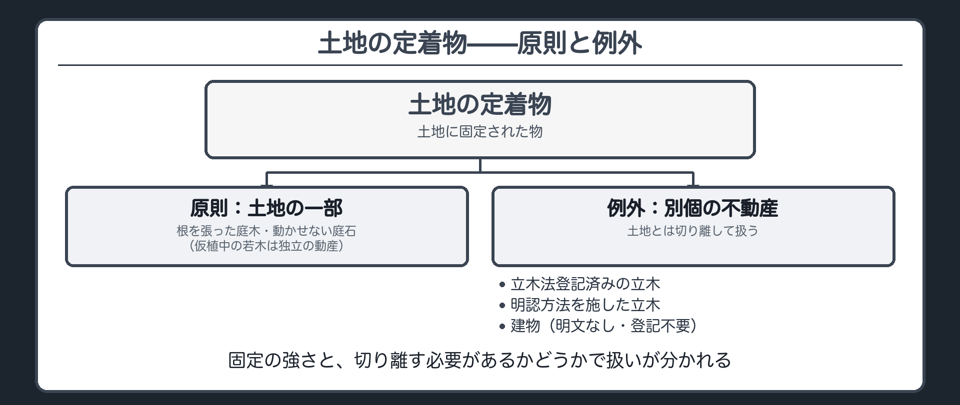 土地の定着物、原則は土地の一部・例外は別個の不動産というツリー板