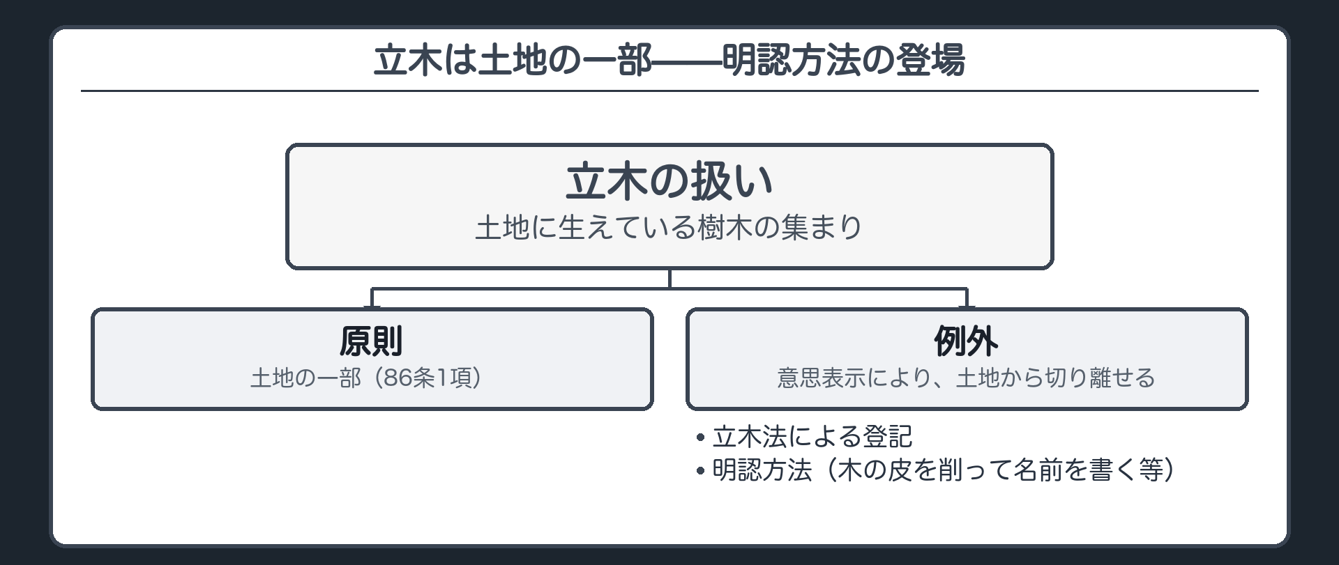 立木の位置づけの板。原則=立木は土地の一部(86条1項)。例外=意思表示により土地から分離し、別個の所有権の対象にできる。分離を第三者に対抗する手段=①立木法による登記②明認方法(慣習法上の公示・木の皮を削って名前を書く等)。