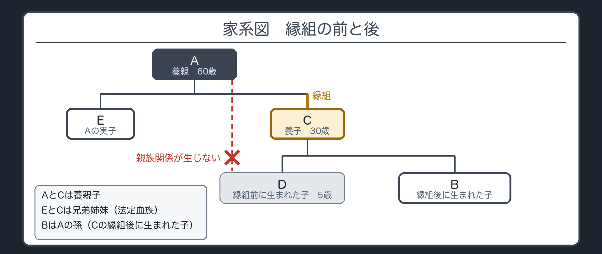 設例S2の家系図（縁組の前と後）。A（養親60歳）・E（Aの実子）・C（養子30歳）・D（Cの縁組前に生まれた子5歳）・B（Cの縁組後に生まれた子）。AとCは養親子。EとCは兄弟姉妹（法定血族）。BはAの孫。DとAの間には親族関係が生じない（点線×）。